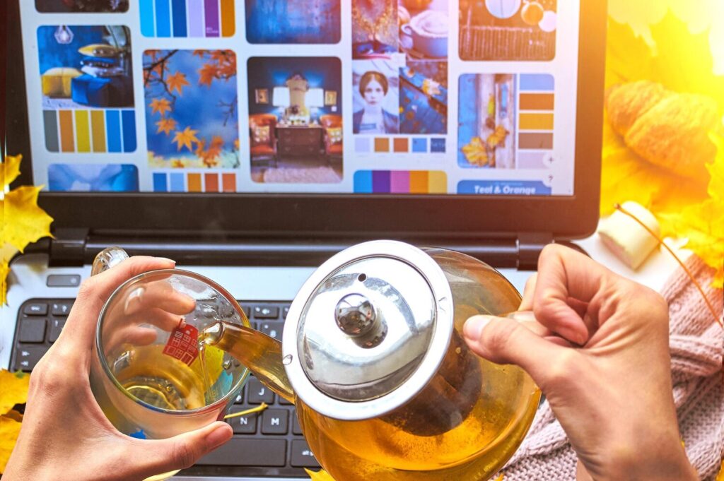 portfolio online dla twórcy